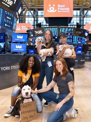 Image post by @nyse on Instagram