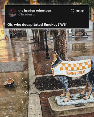 Image post by @barstooltenn on Instagram