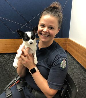 Image post by @victoriapolice on Instagram
