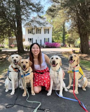 Image post by @canineorg on Instagram