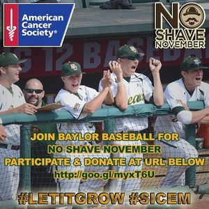 Image post by @baylorbaseball on Instagram