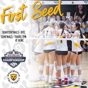 Image post by @witwvb on Instagram