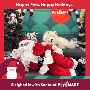 Image post by @petsmart on Instagram