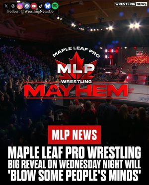 Image post by @wrestlingnewsco on Instagram