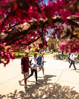Image post by @cuboulderlife on Instagram