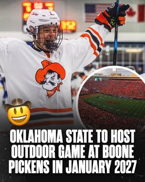 Image post by @hockeyhousepod on Instagram