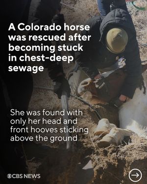 Image post by @cbsnews on Instagram