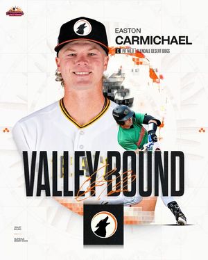 Image post by @mlbazfallleague on Instagram