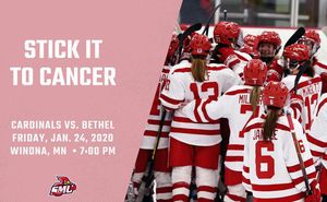 Image post by @smumn_whockey on Instagram