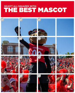 Image post by @uofcincy on Instagram