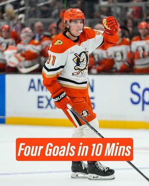Image post by @anaheimducks on Instagram