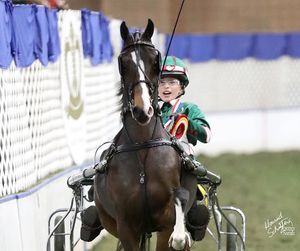 Image post by @UphaAmericanRoyalNationalChampionshipHorseShow on Facebook