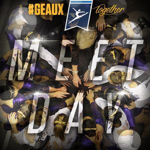 Image post by @lsugym on Instagram