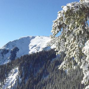 Image post by @skitaos on Instagram