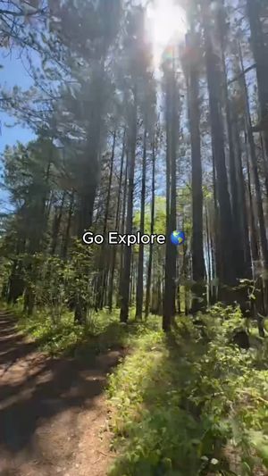 Video post by @grandelylodge on Facebook