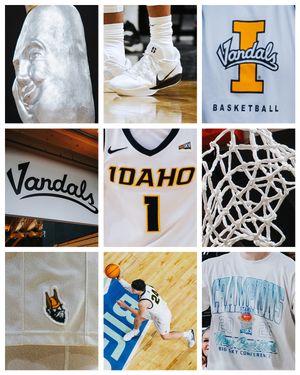 Image post by @vandalhoops on Instagram