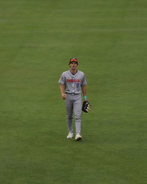 Image post by @sodpoodles on Instagram