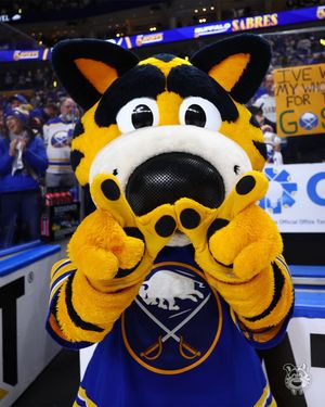 Image post by @sabretooth_nhl on Instagram