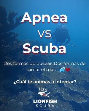 Image post by @lionfishscuba on Instagram