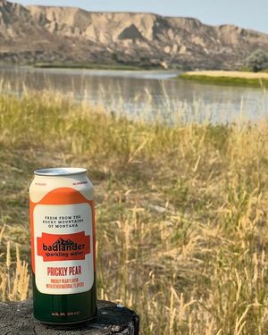 Image post by @badlanderbeverages on Instagram