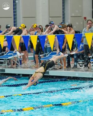 Image post by @carmel_swimming on Instagram