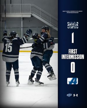 Image post by @stahawkswhockey on Instagram
