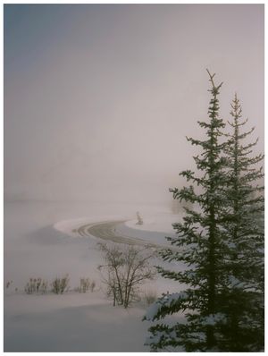 Image post by @alexkittoephotos on Instagram