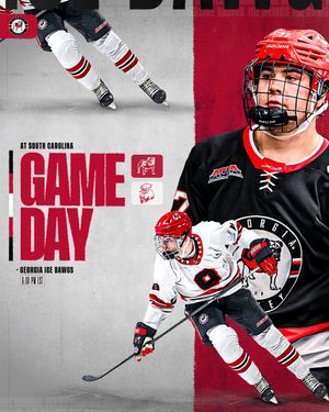 Image post by @UGAHockey on Twitter