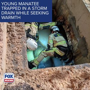 Image post by @foxweather on Instagram