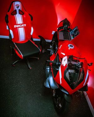 Image post by @panigalers on Instagram
