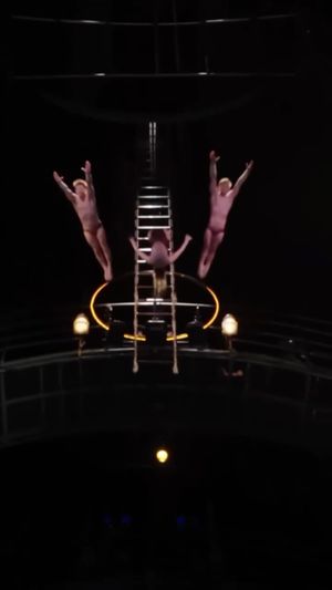 Image post by @o.cirquedusoleil on Instagram