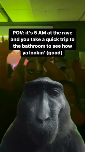 Video post by @Festival Tales Podcast on Facebook