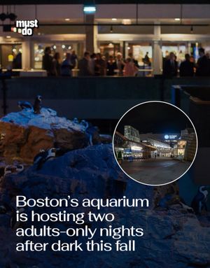 Image post by @mustdoboston on Instagram