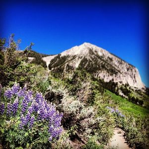 Image post by @skicrestedbutte on Instagram