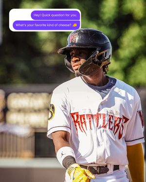 Image post by @witimberrattlers on Instagram