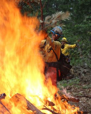Image post by @calfire on Instagram