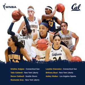 Image post by @calwbball on Instagram