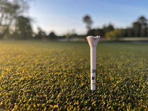 Image post by @evolvegolf on Twitter