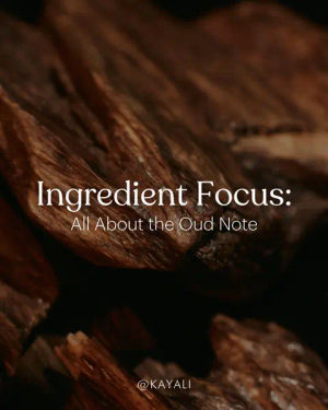 Image post by @kayali on TikTok
