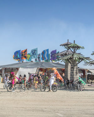 Image post by @burningman on Instagram