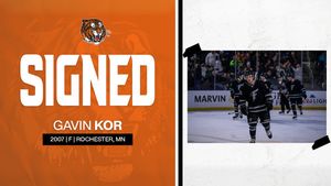 Image post by @tigershockey on Twitter