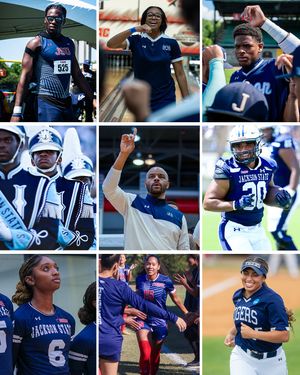 Image post by @gojsutigers on Instagram