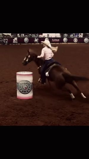 Video post by @aubrey.lx on TikTok