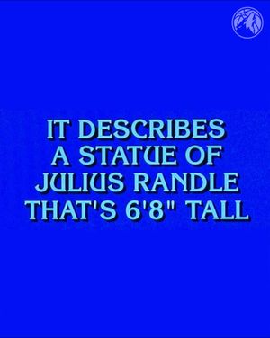 Video post by @timberwolves on TikTok