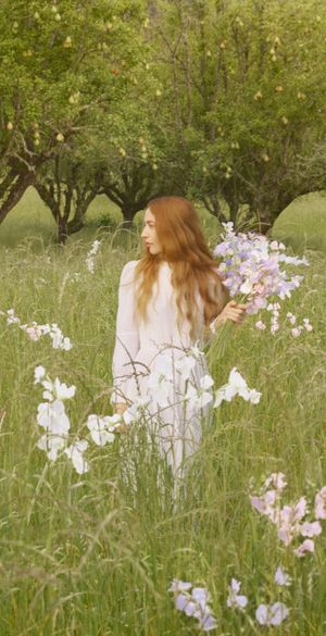 Video post by @jomalonelondon on TikTok