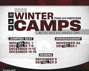 Image post by @aggieequestrian on Instagram