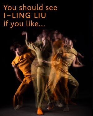 Image post by @amerdancefest on Instagram