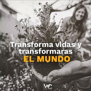 Image post by @wilmar_cardona_ on Instagram