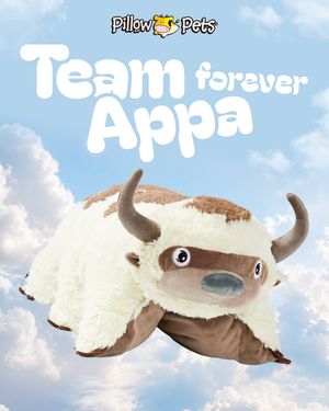 Image post by @originalpillowpets on Instagram