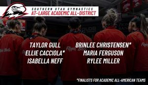 Image post by @suugymnastics on Instagram